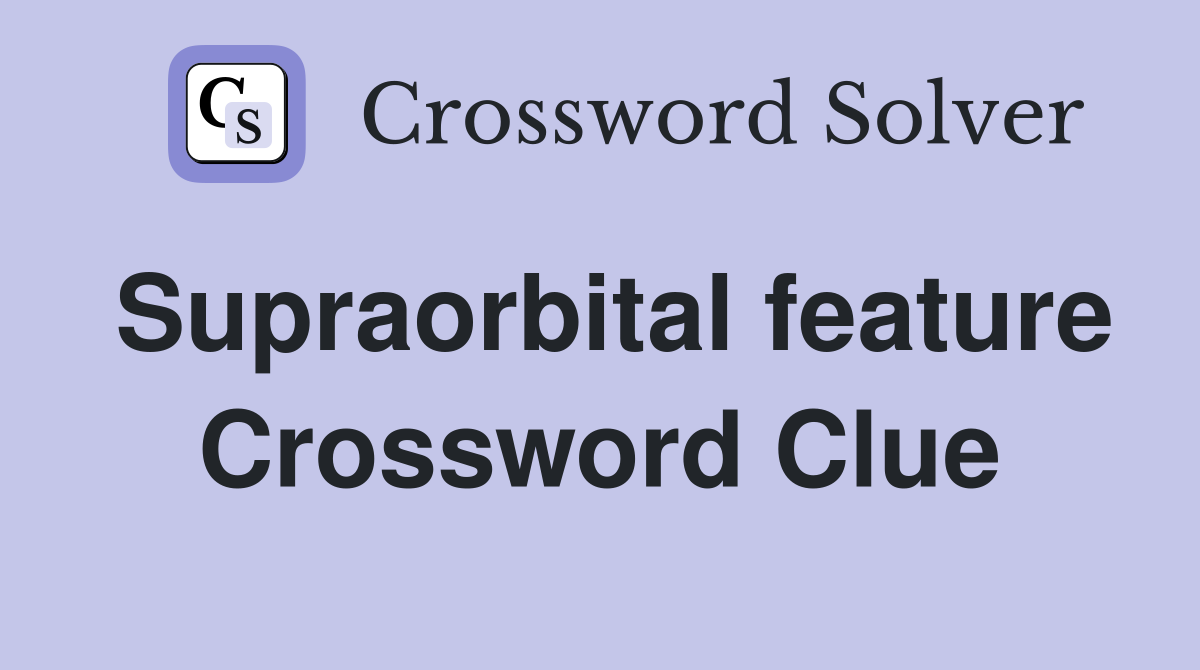 Supraorbital feature Crossword Clue