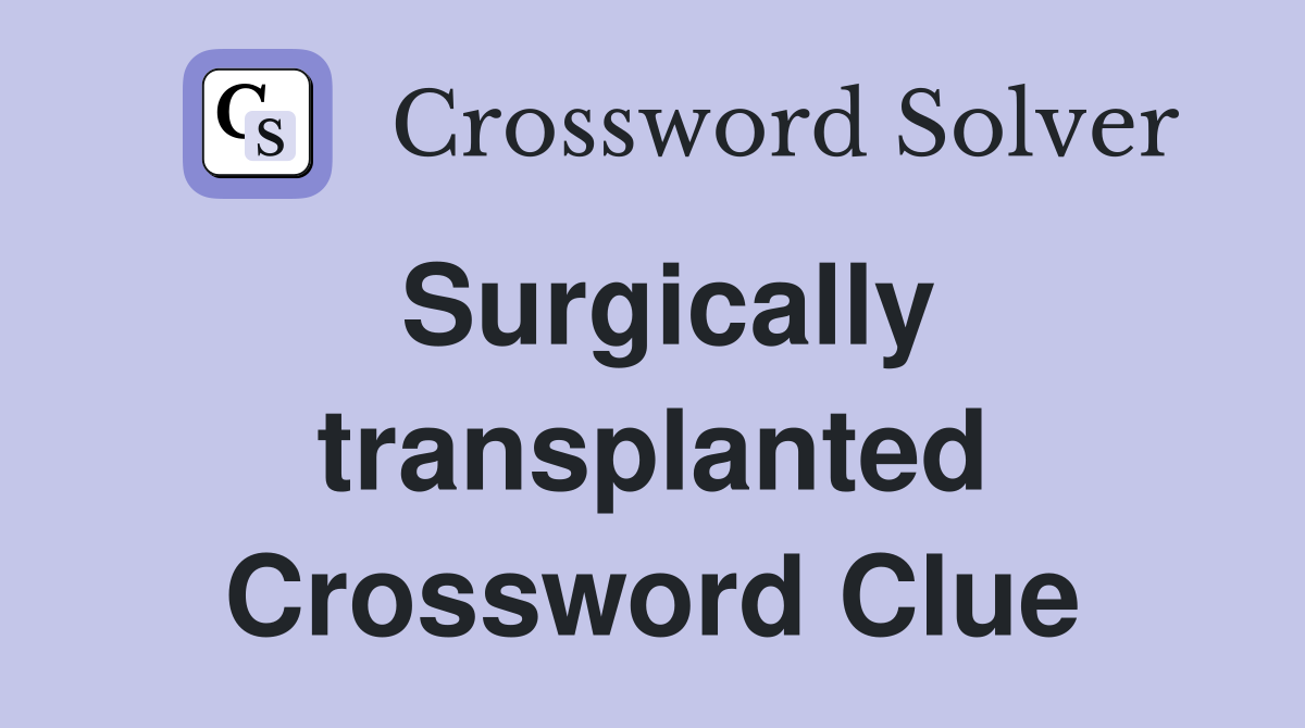 Surgically transplanted Crossword Clue