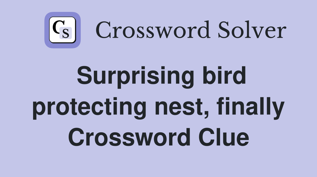 Surprising bird protecting nest, finally Crossword Clue