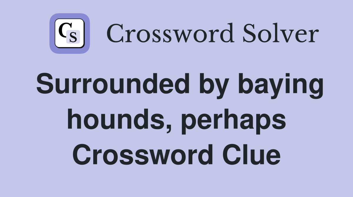 Surrounded by baying hounds, perhaps Crossword Clue
