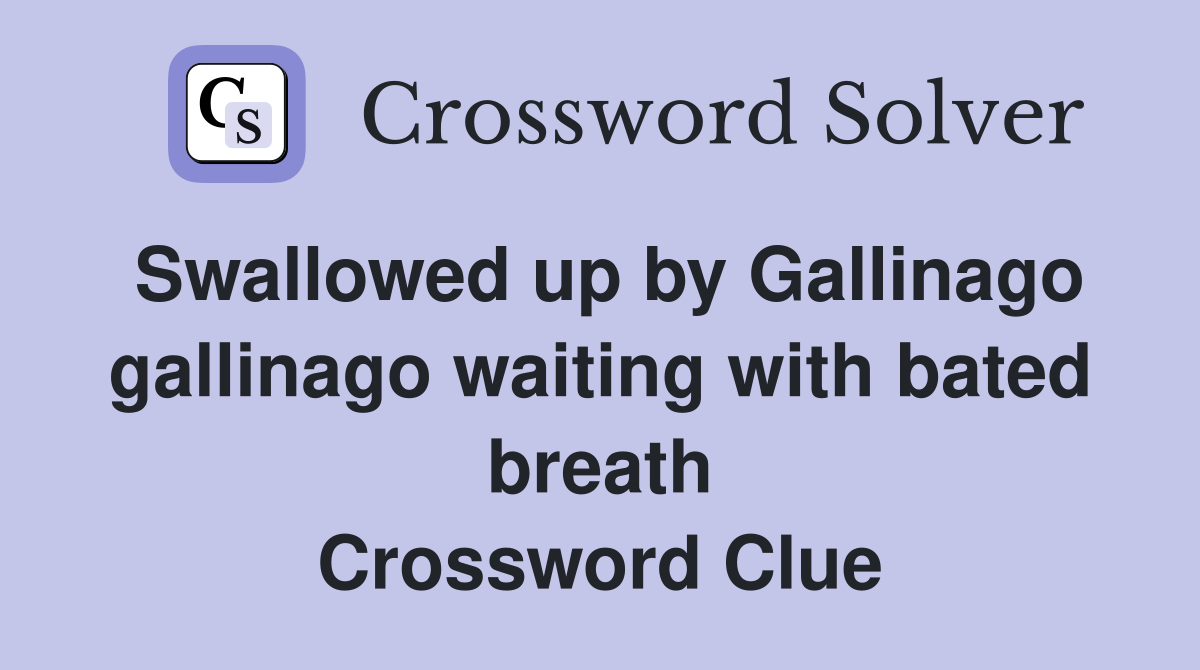 Swallowed up by Gallinago gallinago waiting with bated breath Crossword Clue