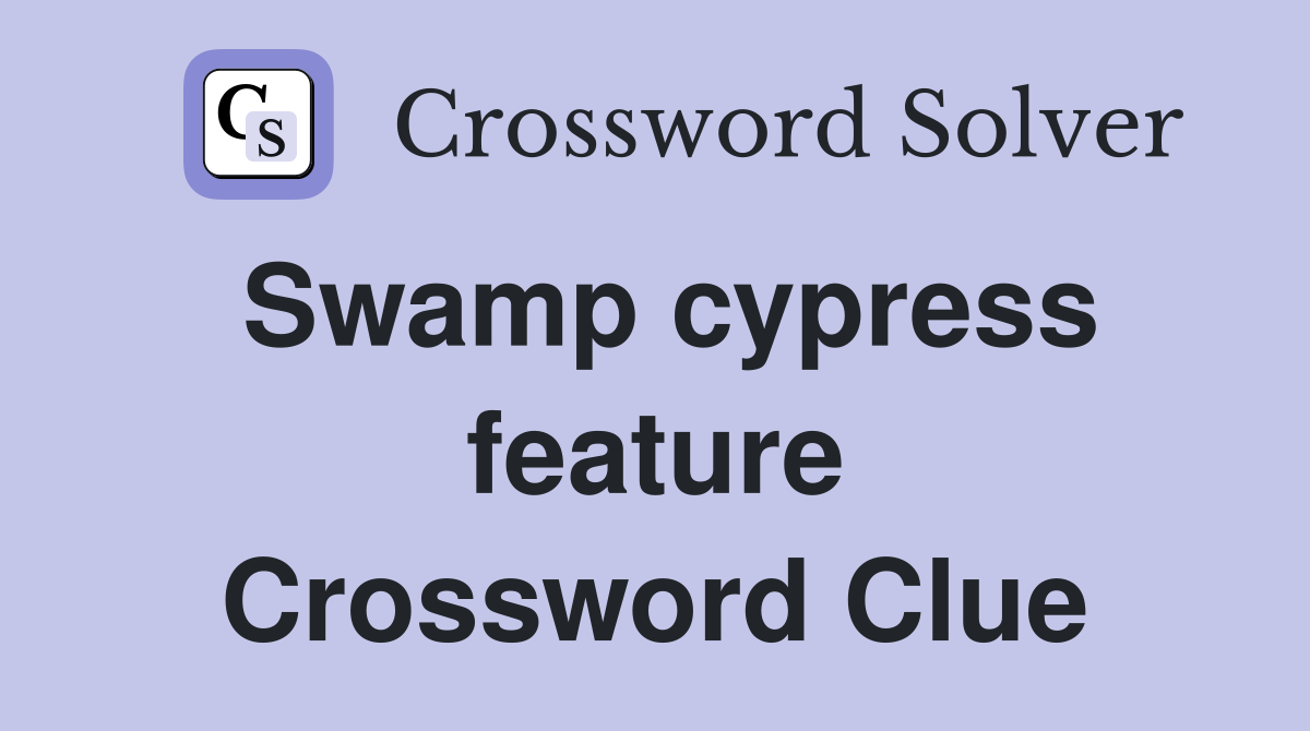 Swamp cypress feature Crossword Clue