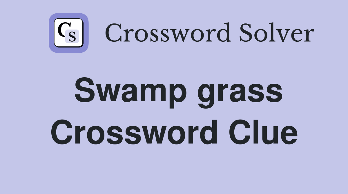Swamp grass Crossword Clue