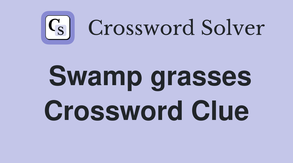 Swamp grasses Crossword Clue