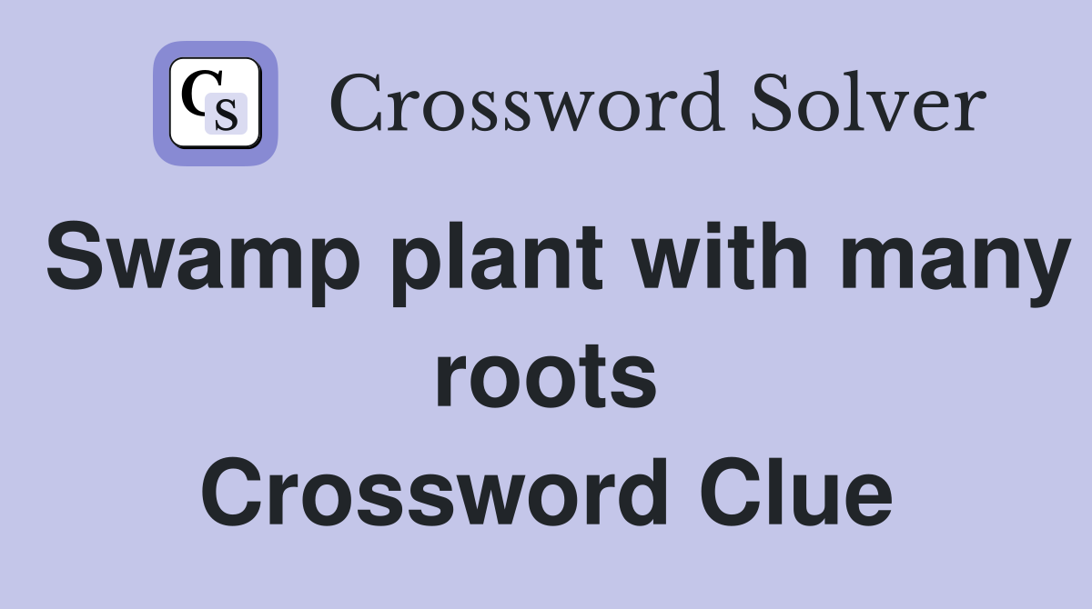 Swamp plant with many roots Crossword Clue