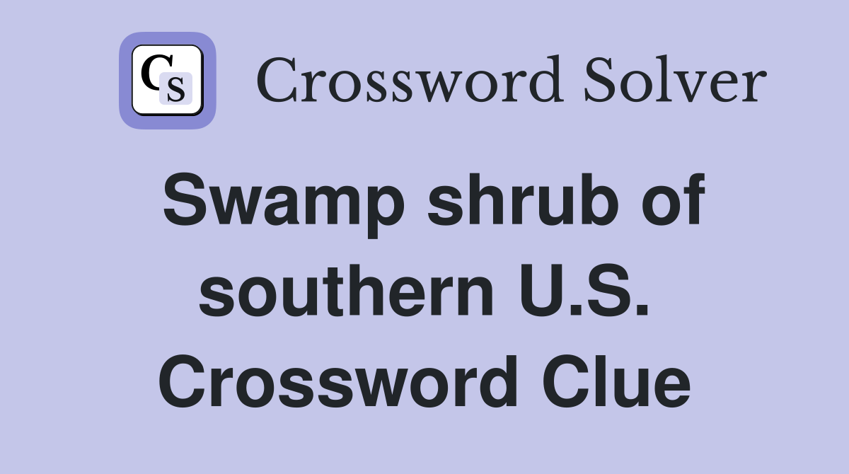 Swamp shrub of southern U.S. Crossword Clue