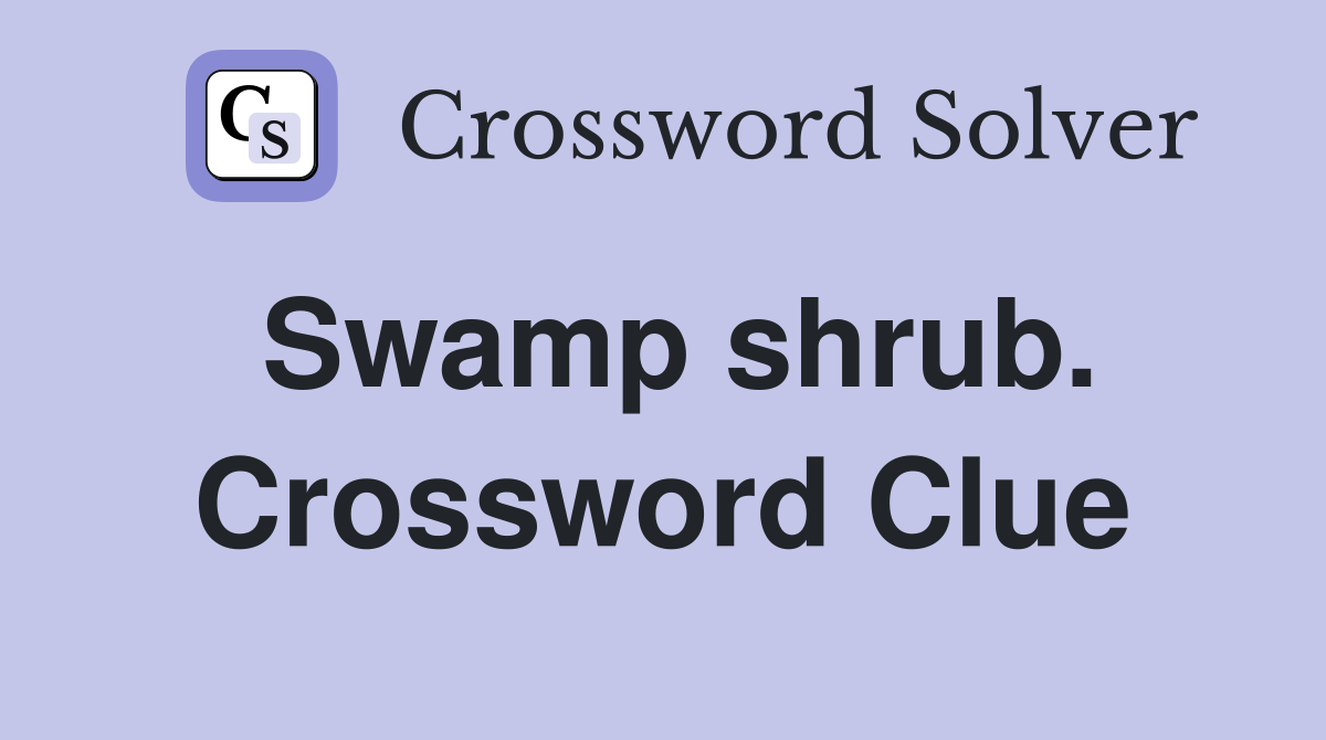Swamp shrub. Crossword Clue