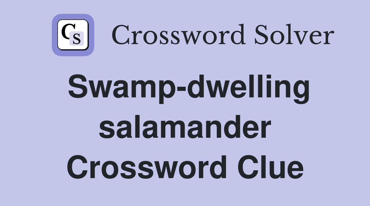 Swamp-dwelling salamander Crossword Clue