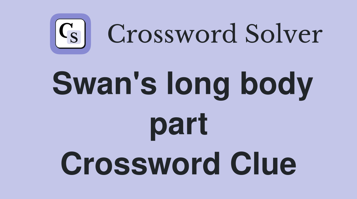 Swan's long body part Crossword Clue