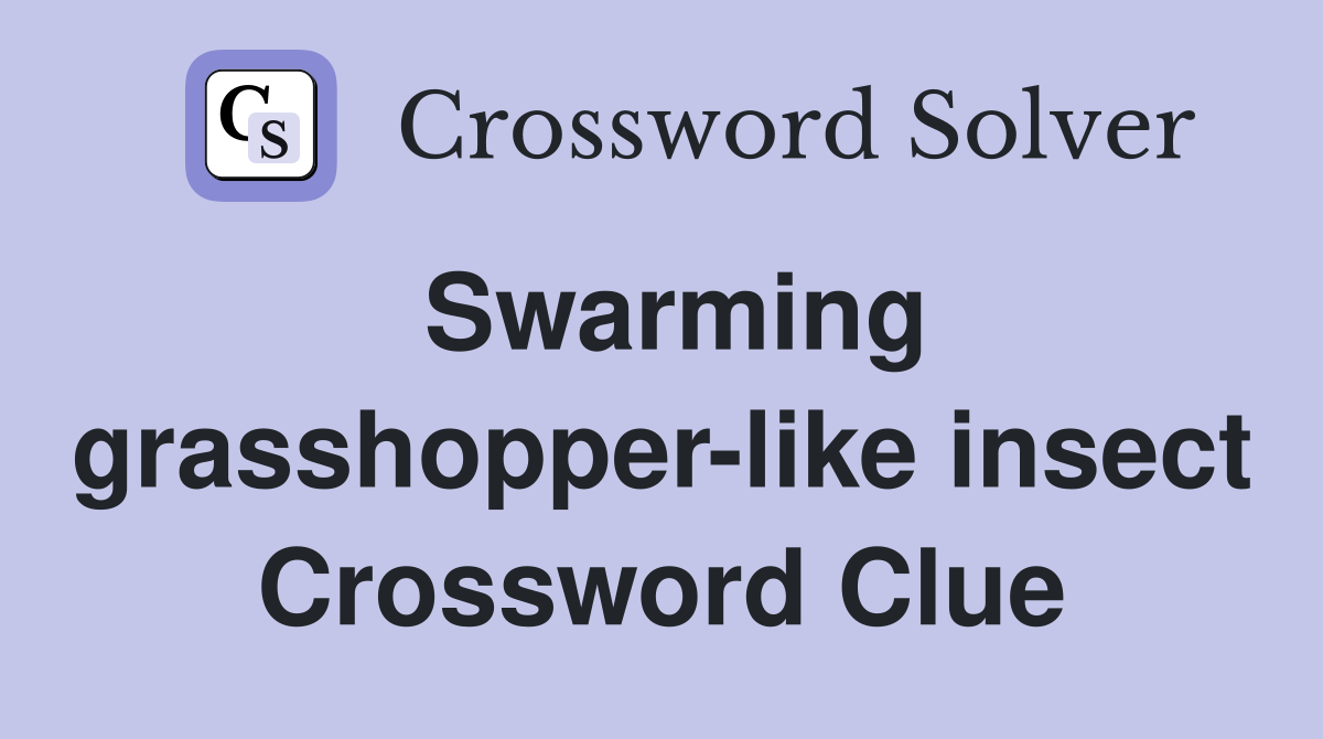 Swarming grasshopper-like insect Crossword Clue