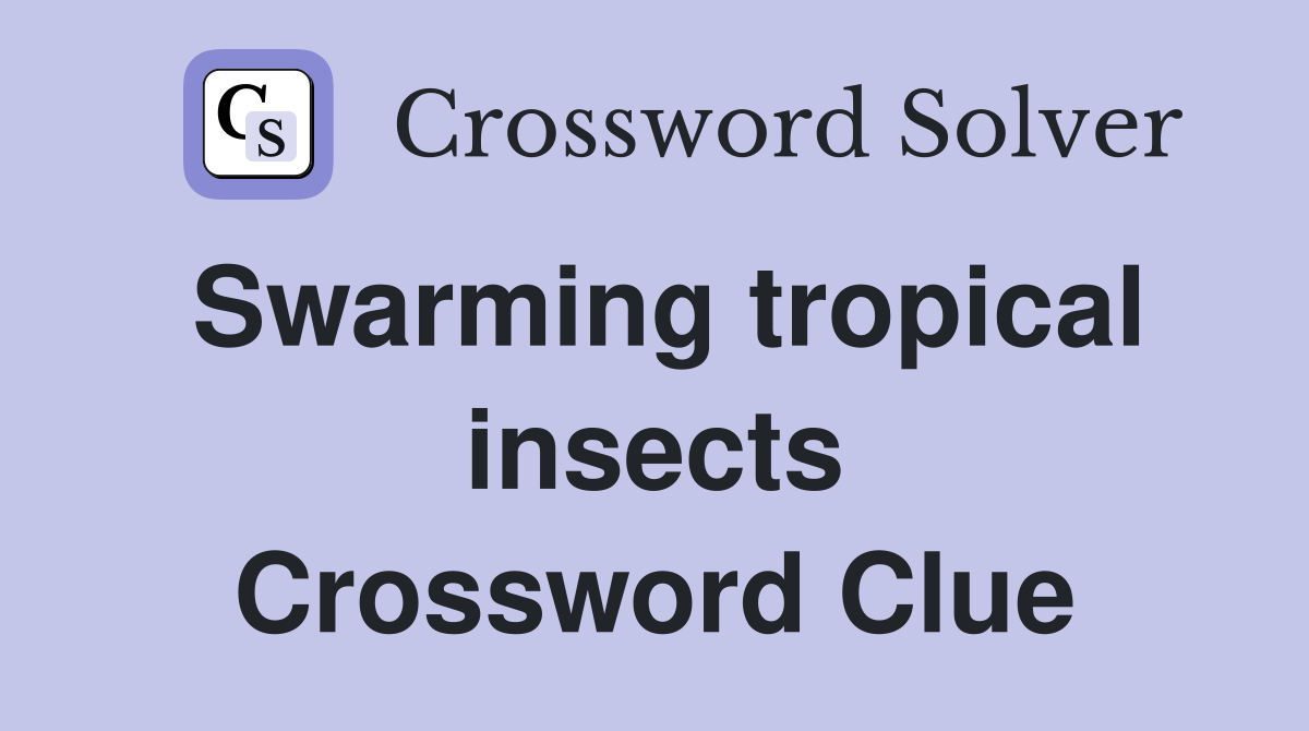 Swarming tropical insects Crossword Clue