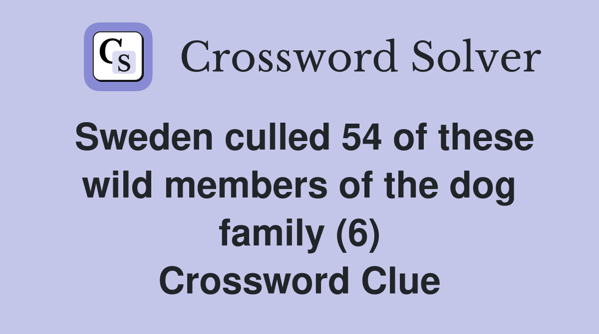 Sweden culled 54 of these wild members of the dog family (6) Crossword Clue