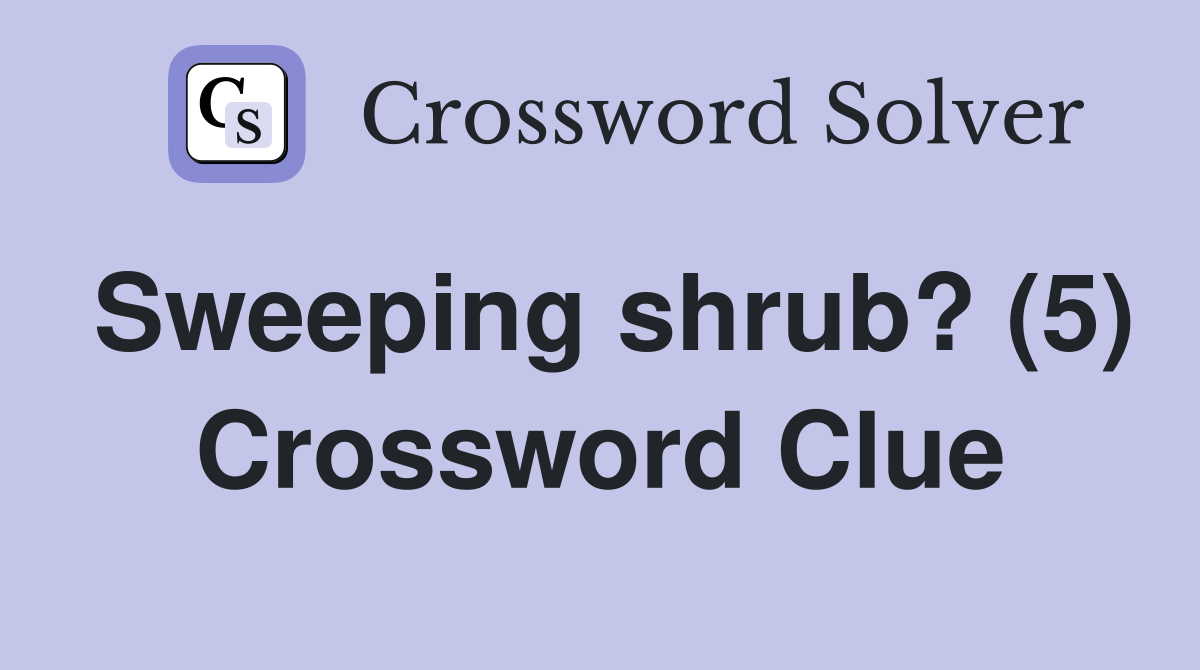 Sweeping shrub? (5) Crossword Clue