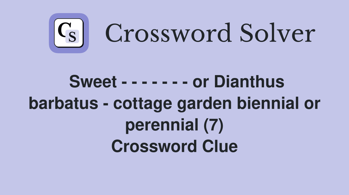 Sweet - - - - - - - or Dianthus barbatus - cottage garden biennial or perennial (7) Crossword Clue