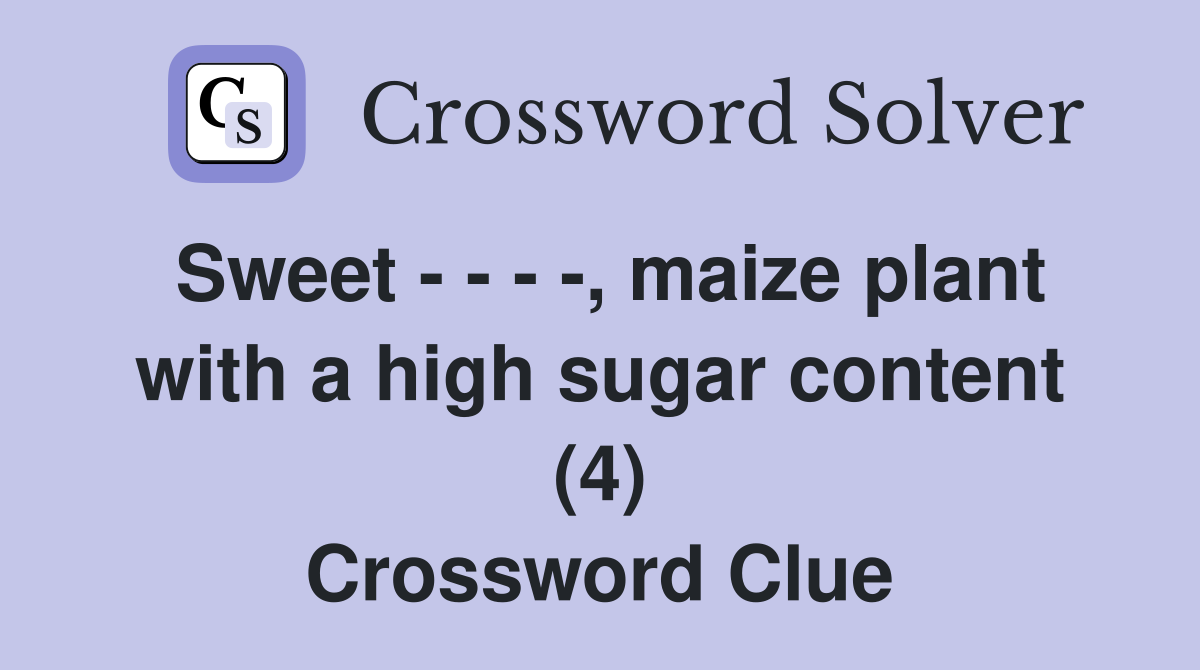 Sweet - - - -, maize plant with a high sugar content (4) Crossword Clue