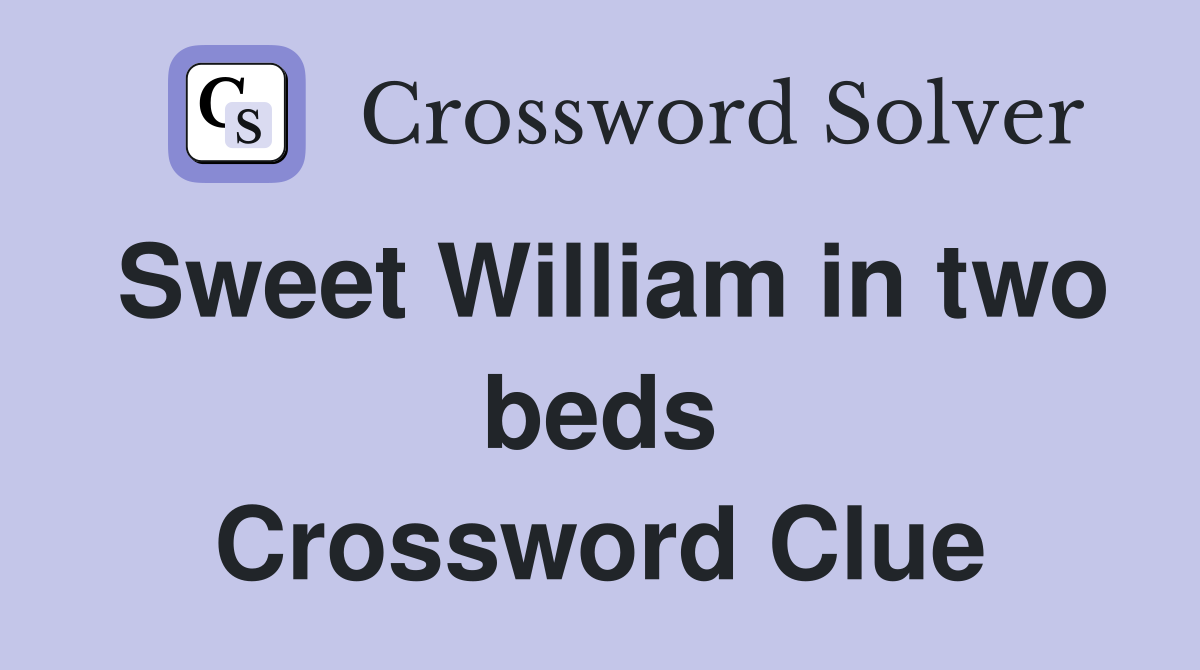Sweet William in two beds Crossword Clue