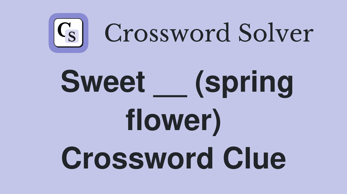 Sweet __ (spring flower) Crossword Clue