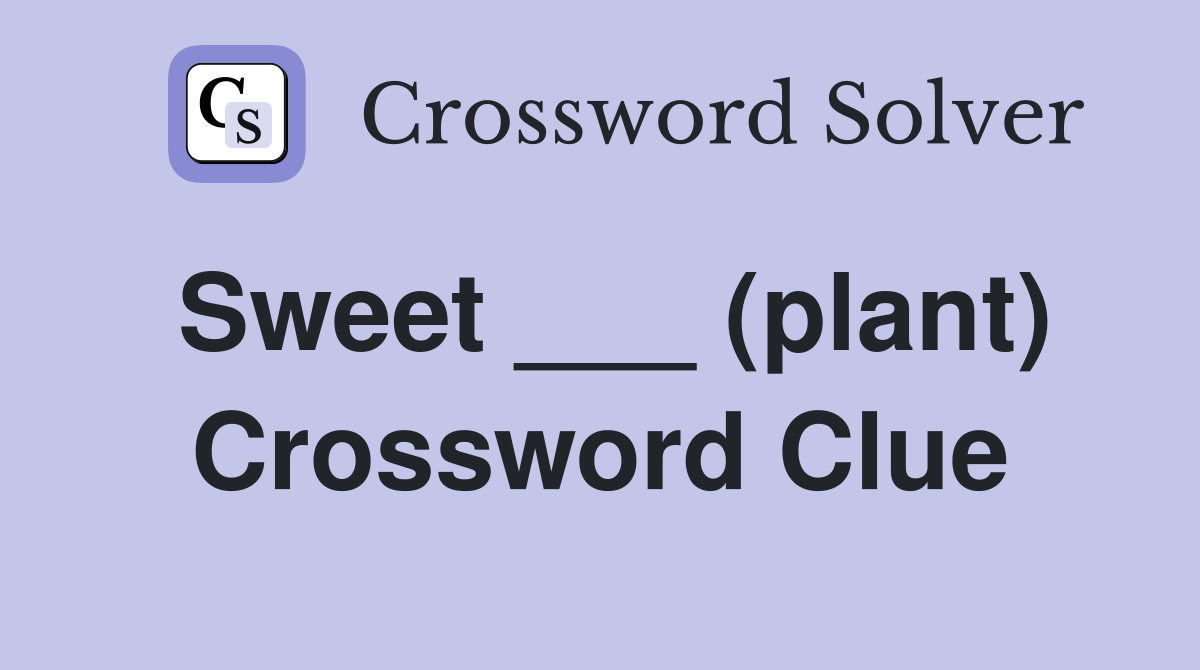 Sweet ___ (plant) Crossword Clue