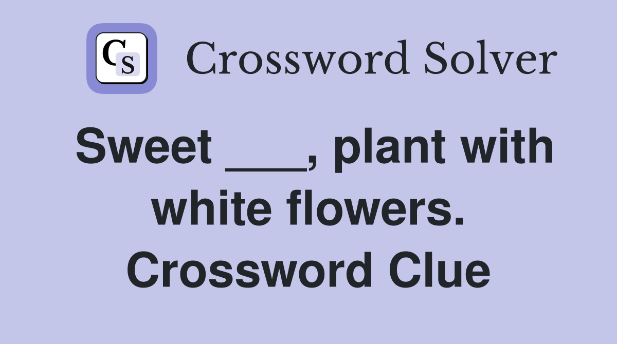 Sweet ___, plant with white flowers. Crossword Clue