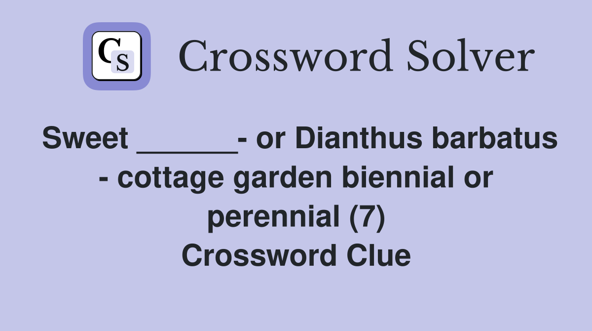 Sweet ______- or Dianthus barbatus - cottage garden biennial or perennial (7) Crossword Clue