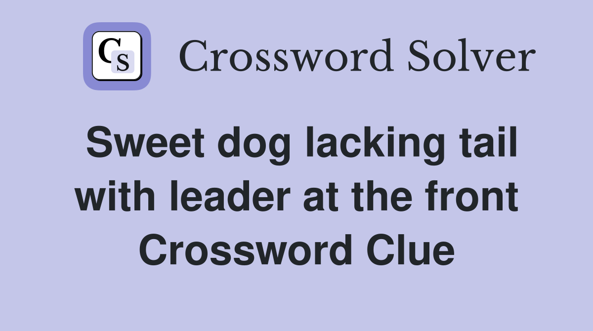 Sweet dog lacking tail with leader at the front Crossword Clue