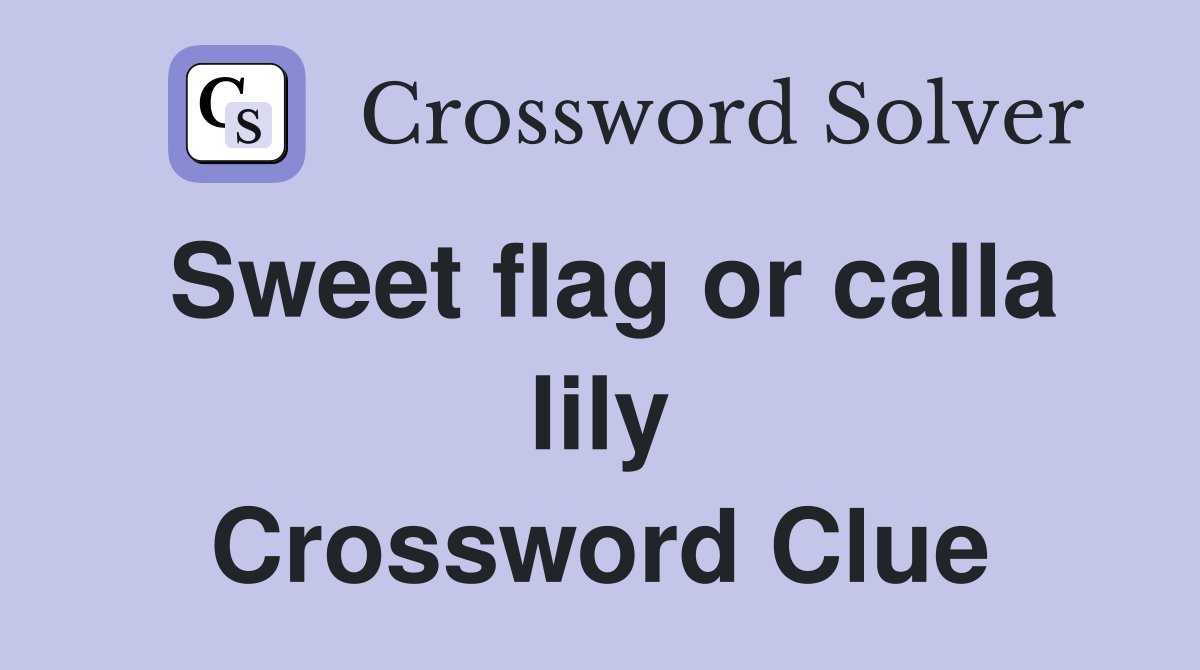 Sweet flag or calla lily Crossword Clue