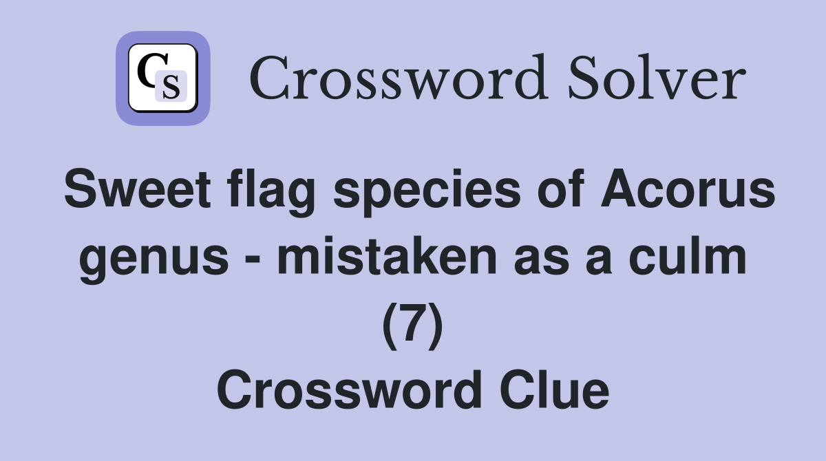Sweet flag species of Acorus genus - mistaken as a culm (7) Crossword Clue