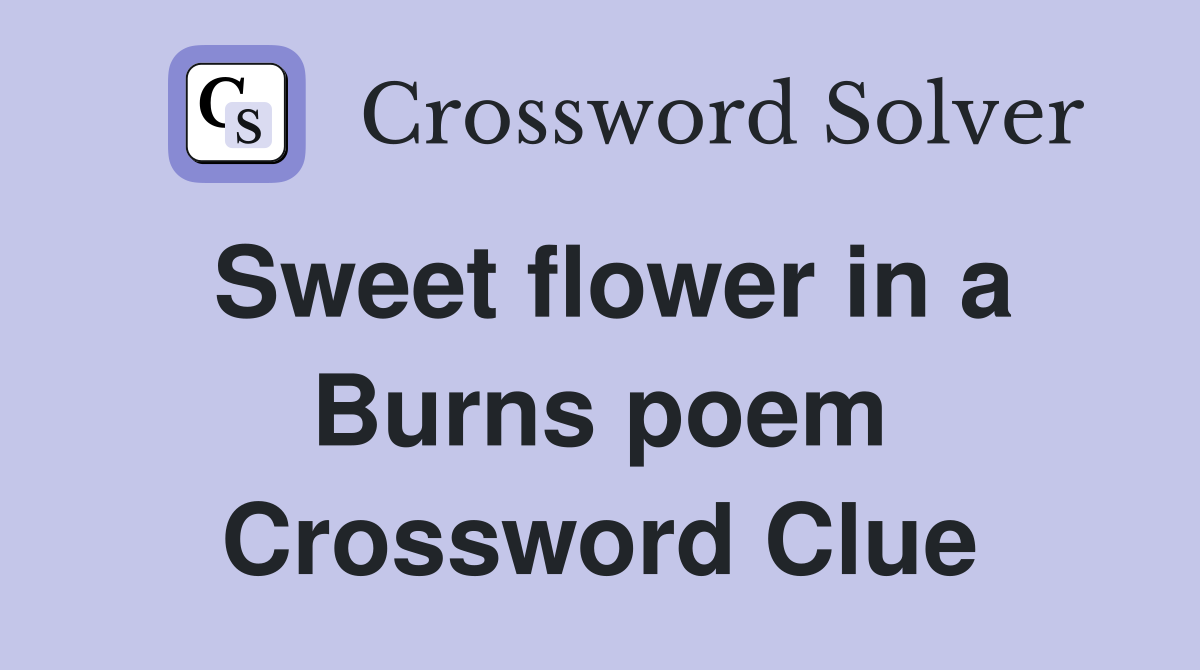 Sweet flower in a Burns poem Crossword Clue