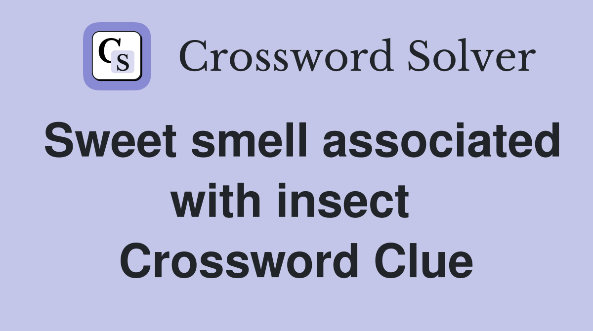 Sweet smell associated with insect  Crossword Clue