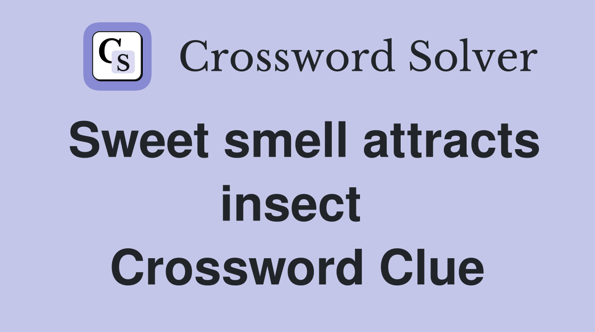 Sweet smell attracts insect  Crossword Clue