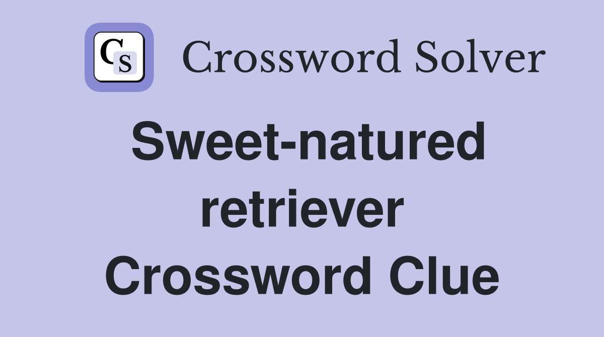 Sweet-natured retriever Crossword Clue