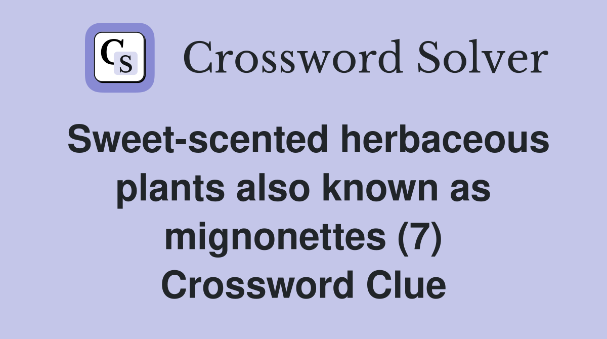 Sweet-scented herbaceous plants also known as mignonettes (7) Crossword Clue