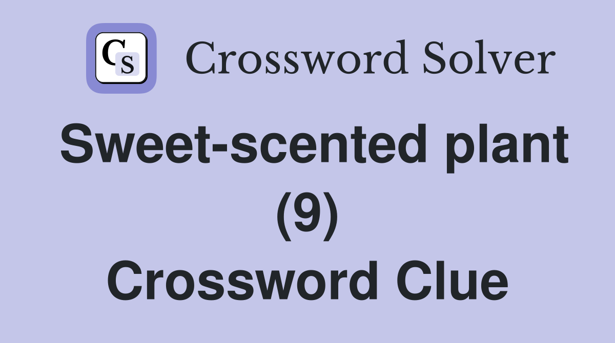 Sweet-scented plant (9) Crossword Clue