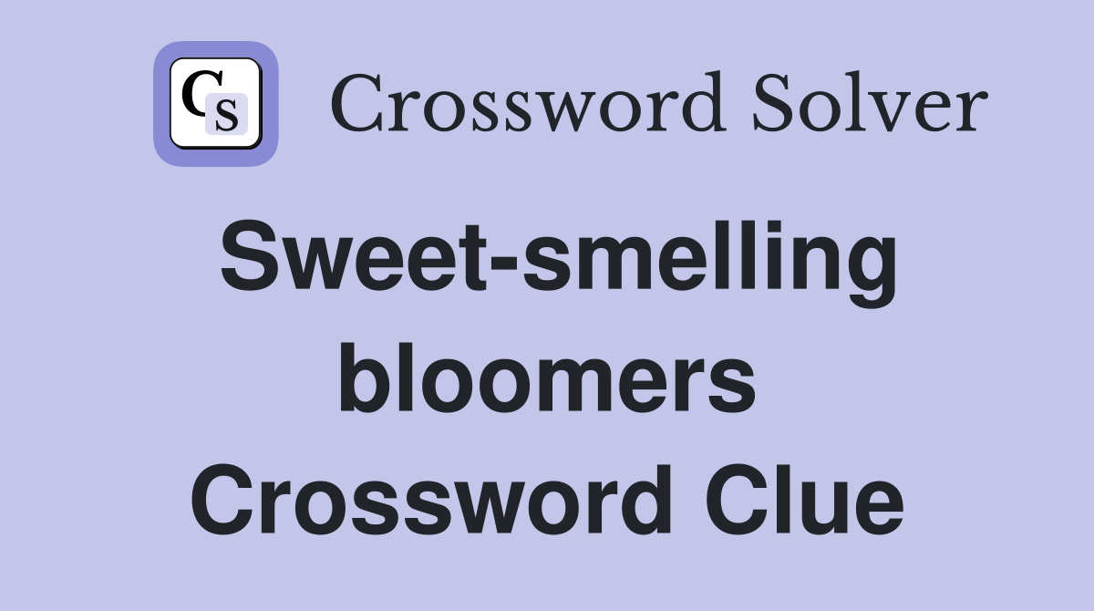 Sweet-smelling bloomers Crossword Clue