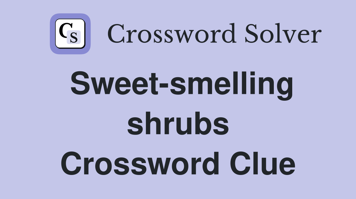 Sweet-smelling shrubs Crossword Clue
