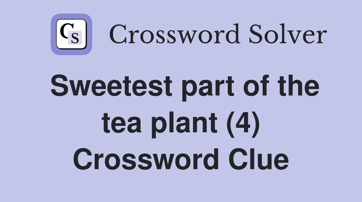 Sweetest part of the tea plant (4) Crossword Clue
