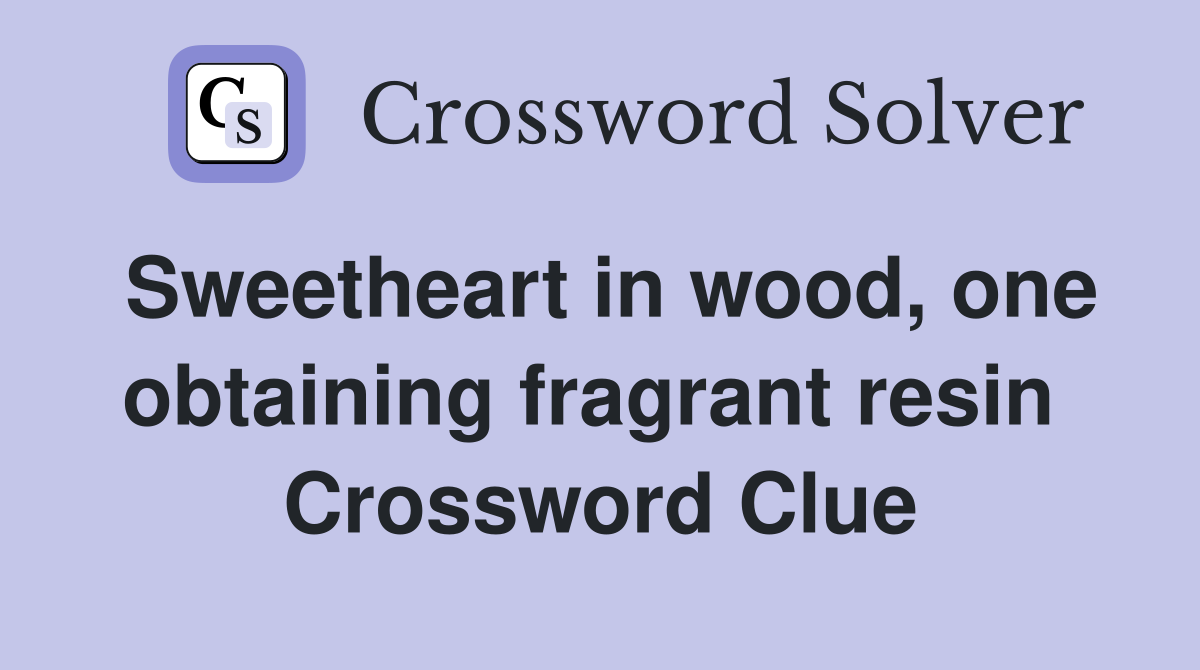 Sweetheart in wood, one obtaining fragrant resin  Crossword Clue