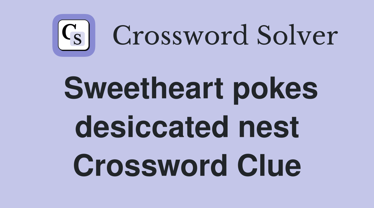 Sweetheart pokes desiccated nest Crossword Clue