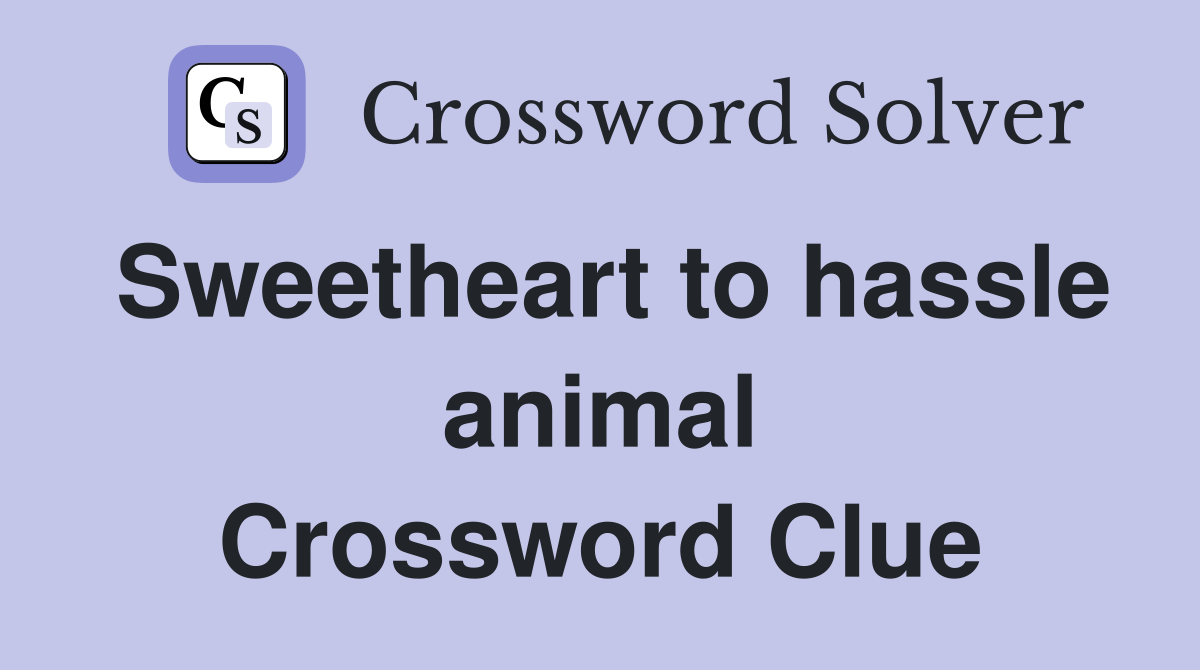 Sweetheart to hassle animal Crossword Clue