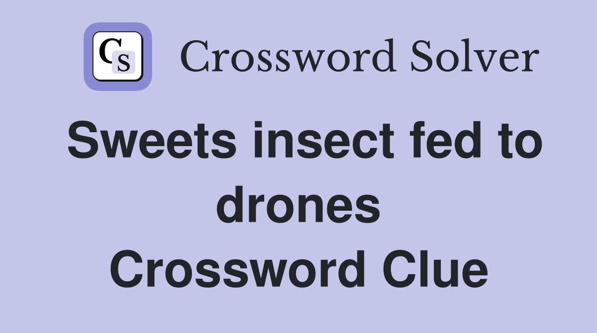 Sweets insect fed to drones Crossword Clue