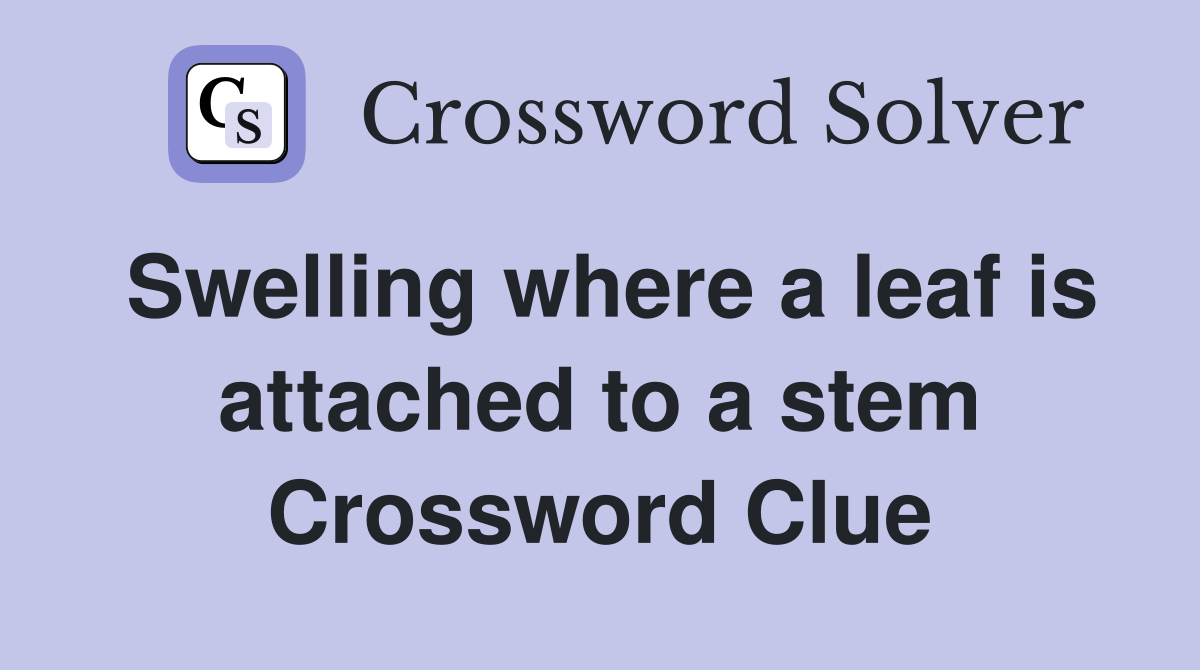Swelling where a leaf is attached to a stem Crossword Clue