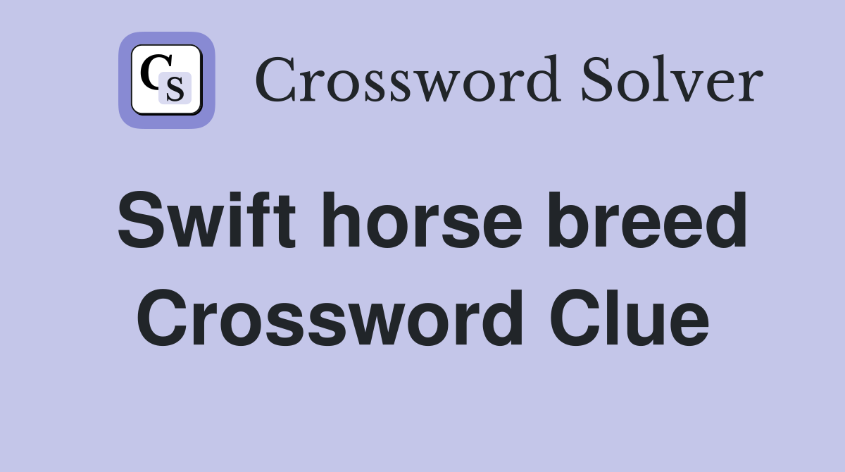 Swift horse breed Crossword Clue