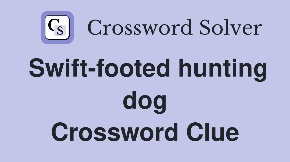 Swift-footed hunting dog Crossword Clue