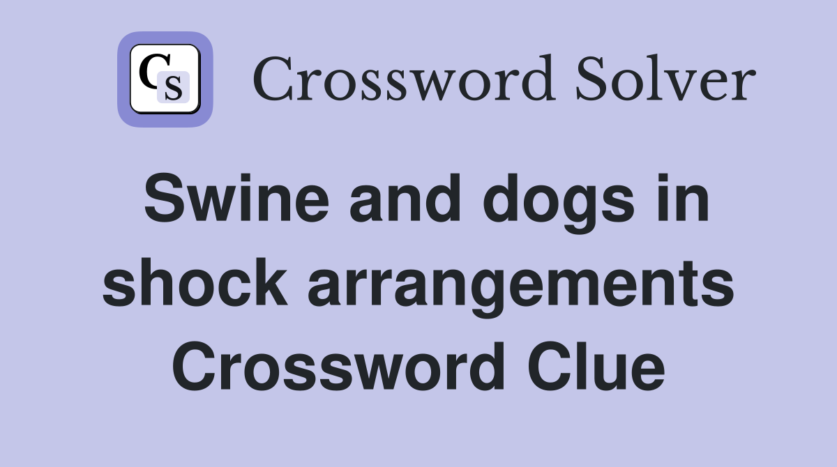 Swine and dogs in shock arrangements Crossword Clue