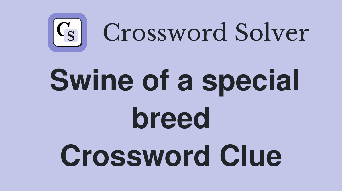 Swine of a special breed Crossword Clue