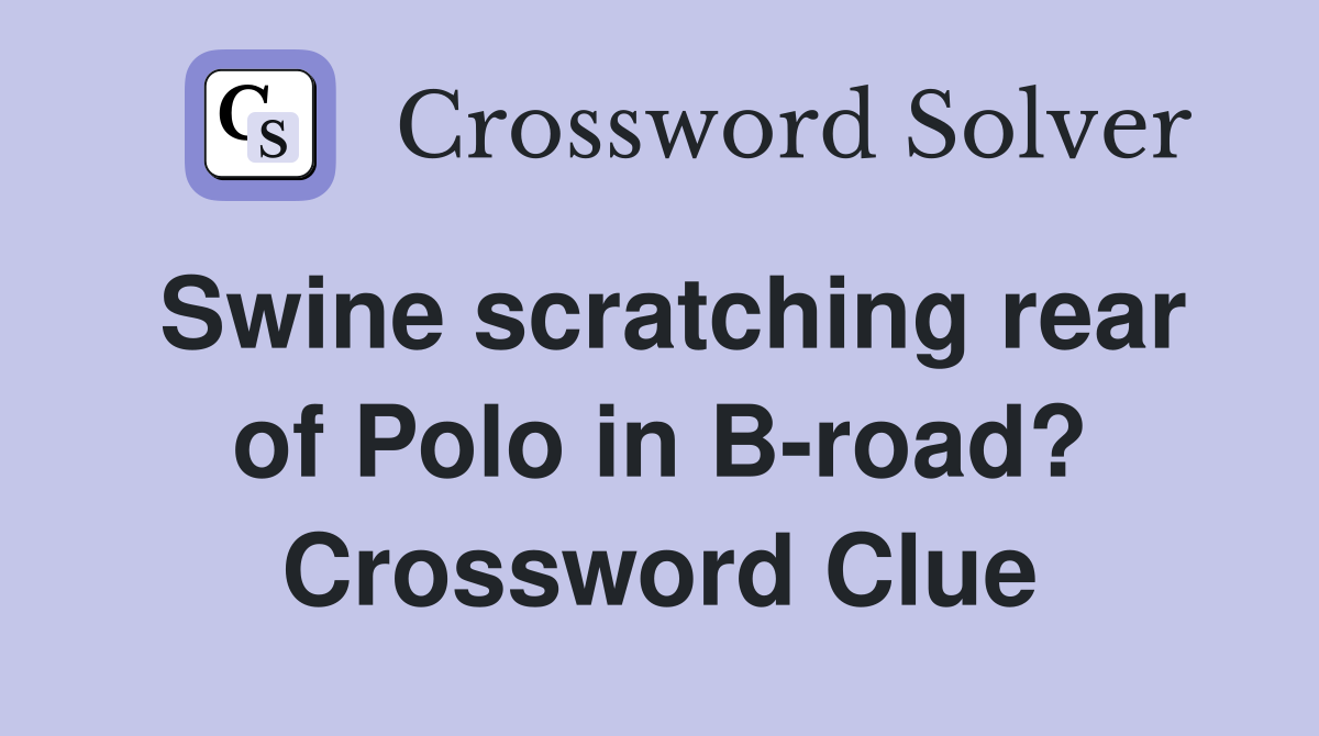 Swine scratching rear of Polo in B-road? Crossword Clue