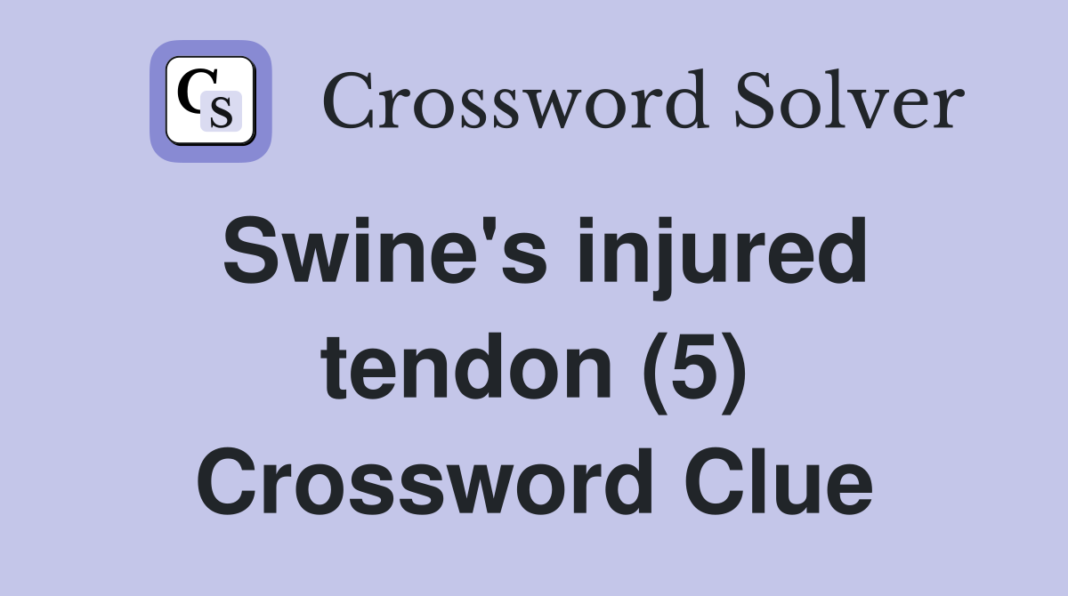 Swine's injured tendon (5) Crossword Clue
