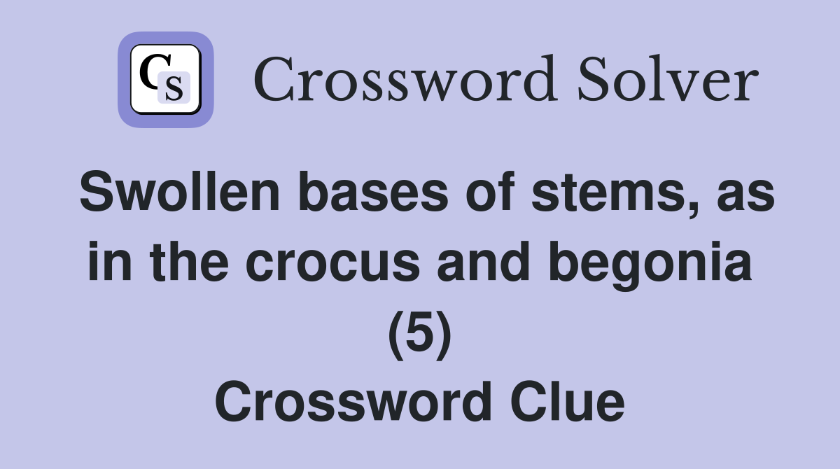 Swollen bases of stems, as in the crocus and begonia (5) Crossword Clue