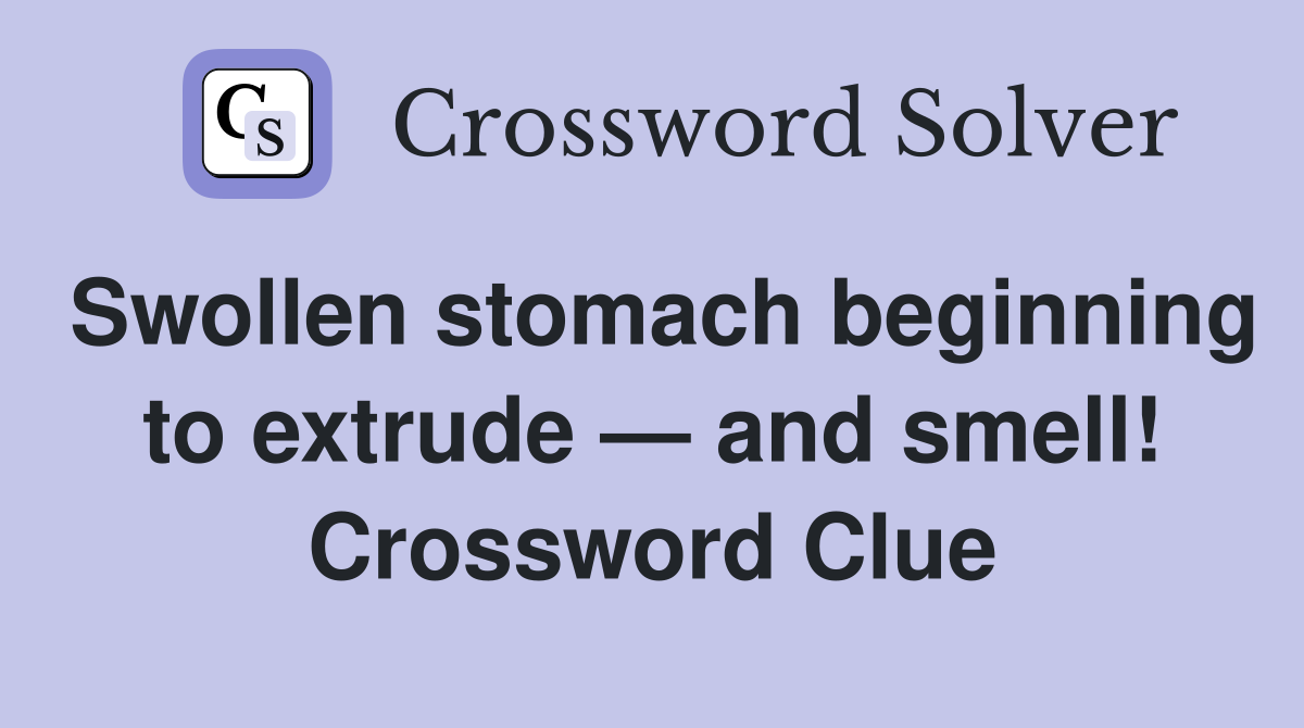Swollen stomach beginning to extrude and smell Crossword Clue