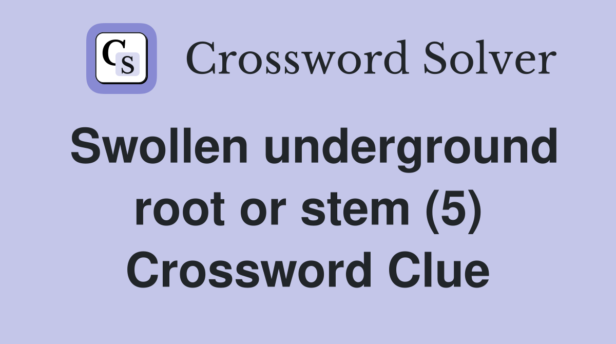 Swollen underground root or stem (5) Crossword Clue